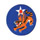 14th Air Force Insignia