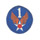 1st Air Force Insignia