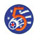 5th Air Force Insignia